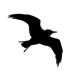 "Ultimate SVG Vector Design Bundle &ndash; Abstract, Geometric, Botanical, Mandala, Minimal, Vintage & Modern Elements for Cricut, Laser Cutting, Sublimation, and DIY Crafts"