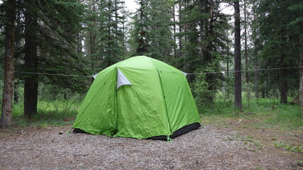 tent in the forest