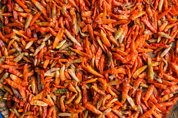 Freshly harvested chilies are sun-dried using traditional methods, then processed into products like chili powder, instant sambal, and chili extract to increase market value and farmers’ income.