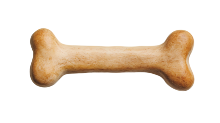 A close up of a dog bone isolated on white background