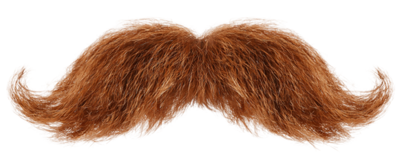 A bushy ginger mustache isolated on transparent background