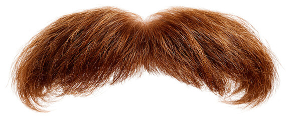 A bushy brown mustache isolated on transparent background