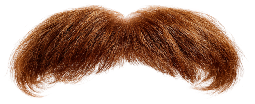 A bushy brown mustache isolated on transparent background