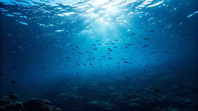 underwater view of the underwater world in the sea