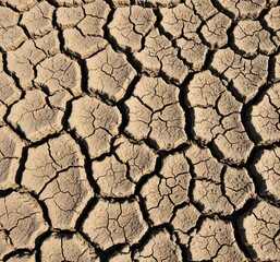 Dry cracked soil texture