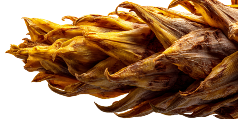 Dried corn husk closeup showing intricate textures and patterns, ideal for autumn harvest and thanksgiving themes