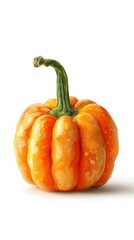 Bright orange pumpkin with a curved green stem on a white background