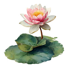 Watercolor painting of a waterlily with a long stem isolated on transparent background