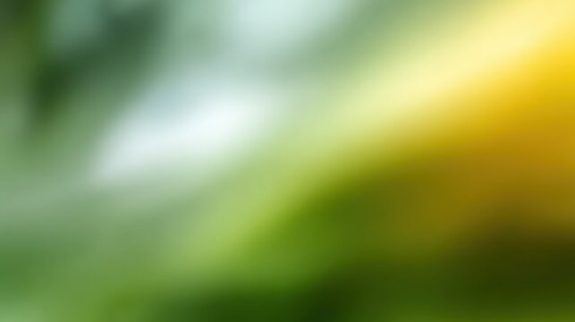 Blurred Green and Yellow Nature Background with Soft Focus for Peaceful Natural Setting or Environmental Theme