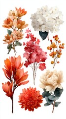 Beautiful collection of hand-painted flowers in various colors and styles arranged artistically on a white background