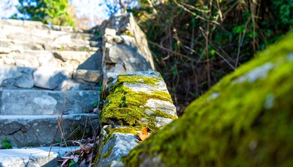 Stone steps covered in moss