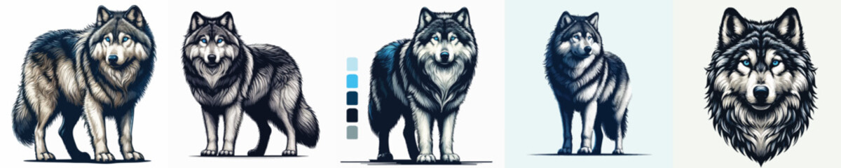 vector image of a wolf with a white background