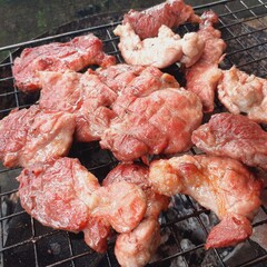 Pork grilled on a charcoal grill