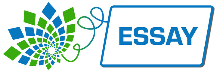 Essay Green Blue Squares Floral Box Line 