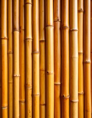 Close up of vertical bamboo stalks