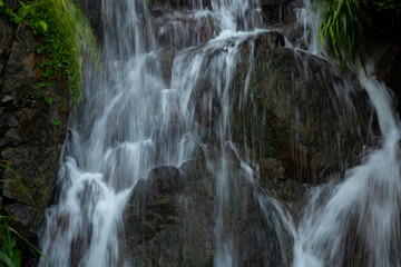 Fototapeta premium 滝。水の流れ。