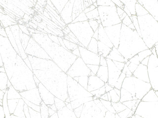 white marble texture transparent