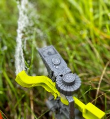 Watering the lawn with a sprinkler on a sunny day	
