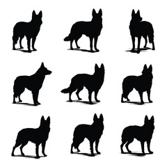 Fototapeta premium cattle dog silhouette set, Black & White silhouette set