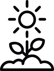 Elegant silhouette of a blooming flower reaching for the sun with visible growth and sunlight on a white background