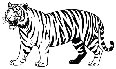 tiger vector illustration