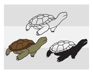 Turtles SVG Silhouette Bundle, Turtles Silhouette, Sea Turtle Svg, Animal Svg, Beach Turtle, Ocean Png, Tortoise Svg Images,