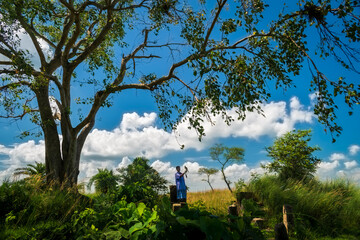 The Eagle Hunter under a banyan tree