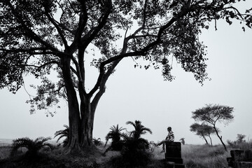 Childhood under Banyan tree 