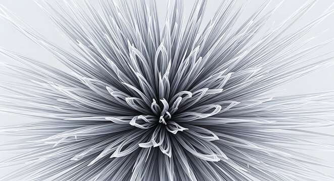Close-up of a silversword plant with radiating silver leaves forming a starburst pattern against a bright, blurred background.