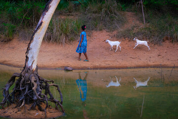 Girl plying with baby goat