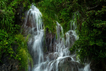 奄美大島の夏の風景。糸をひく水の流れ。
