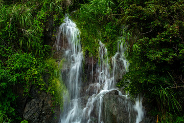 奄美大島の夏の風景。糸をひく水の流れ。