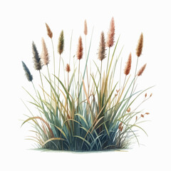 watercolor marsh grass vector , watercolor marsh grass