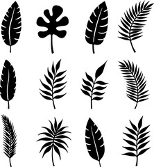 Obraz premium Tropical Leaf Silhouettes Collection vector bundle