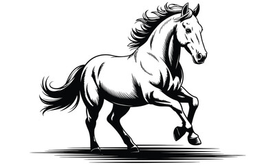 horse vector illustration