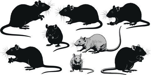 Create a kinds of deferent rat vector art silhouette with white background.