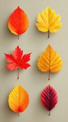 Obraz premium Colorful autumn leaves arranged artistically on a neutral background showcasing seasonal beauty and nature's palette