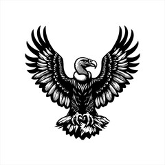 Obraz premium Vulture with wings spread wide