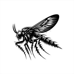 Obraz premium A detailed wasp illustration