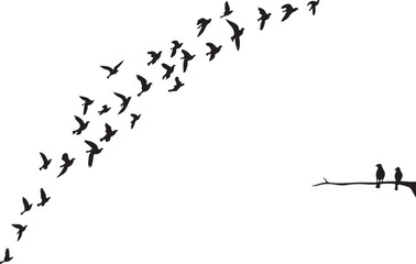 Black and white vector illustration of flying birds with an abstract background