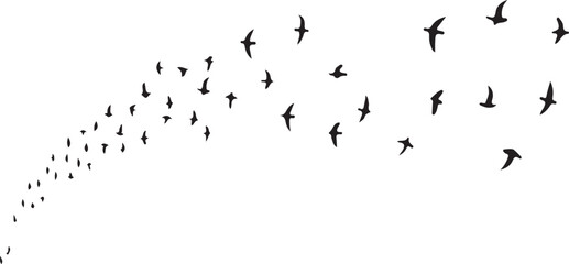 Black and white vector illustration of flying birds with an abstract background
