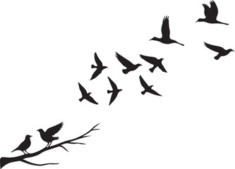 Black and white vector illustration of flying birds with an abstract background
