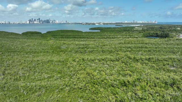 KeyBiscayne_DJI25_4 - 400x