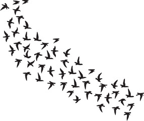 Naklejka premium Black and white vector illustration of flying birds with an abstract background