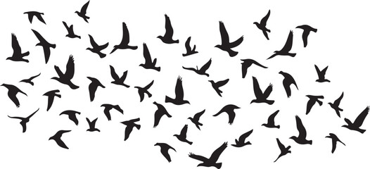 Black and white vector illustration of flying birds with an abstract background