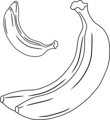 banana vector illustration