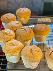 Mini vanilla cupcake without topping