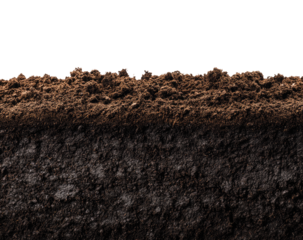 Close-up view of earth layers. Dark rich soil, top layer textured, with a slightly lighter subsoil below