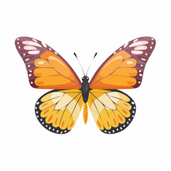 Fototapeta premium Elegant butterfly with symmetrical wings and gradient colors, a vibrant natural display