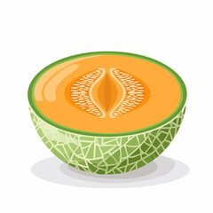 Illustration of a Half Cantaloupe Melon Revealing its Juicy Interior and Seeds Details